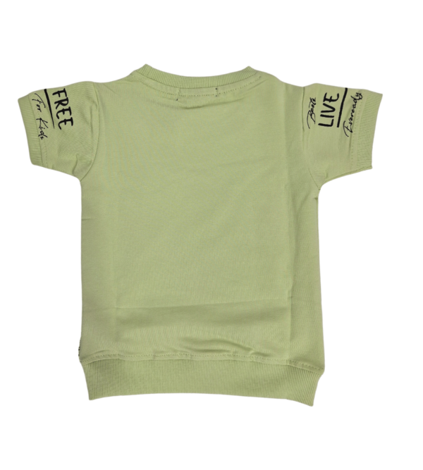 Tshirt for boys shade of Green